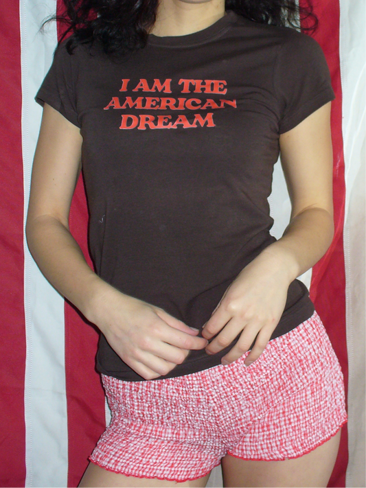 I Am The American Dream Fitten Tee